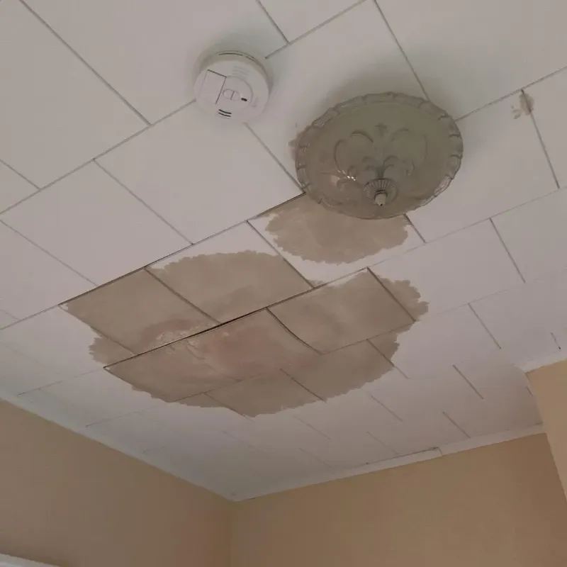 Ceiling Water Damage Repair in Pontotoc, MS