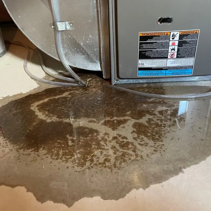 Pipe Burst and Leak Restoration in Pontotoc, MS