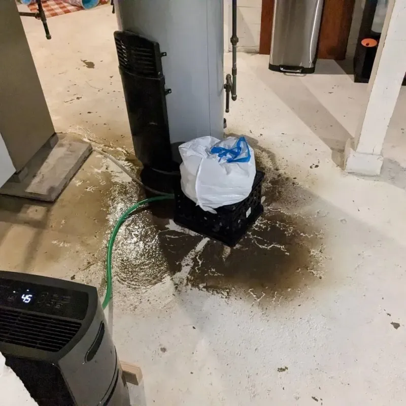 Sewage Backup Cleanup Service in Pontotoc, MS